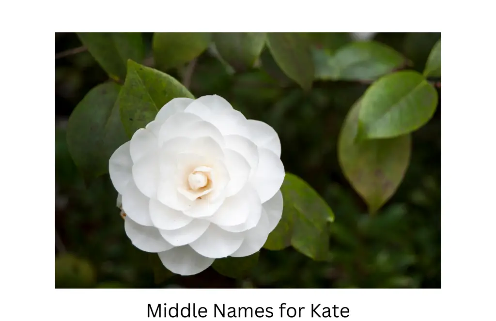 middle names for kate