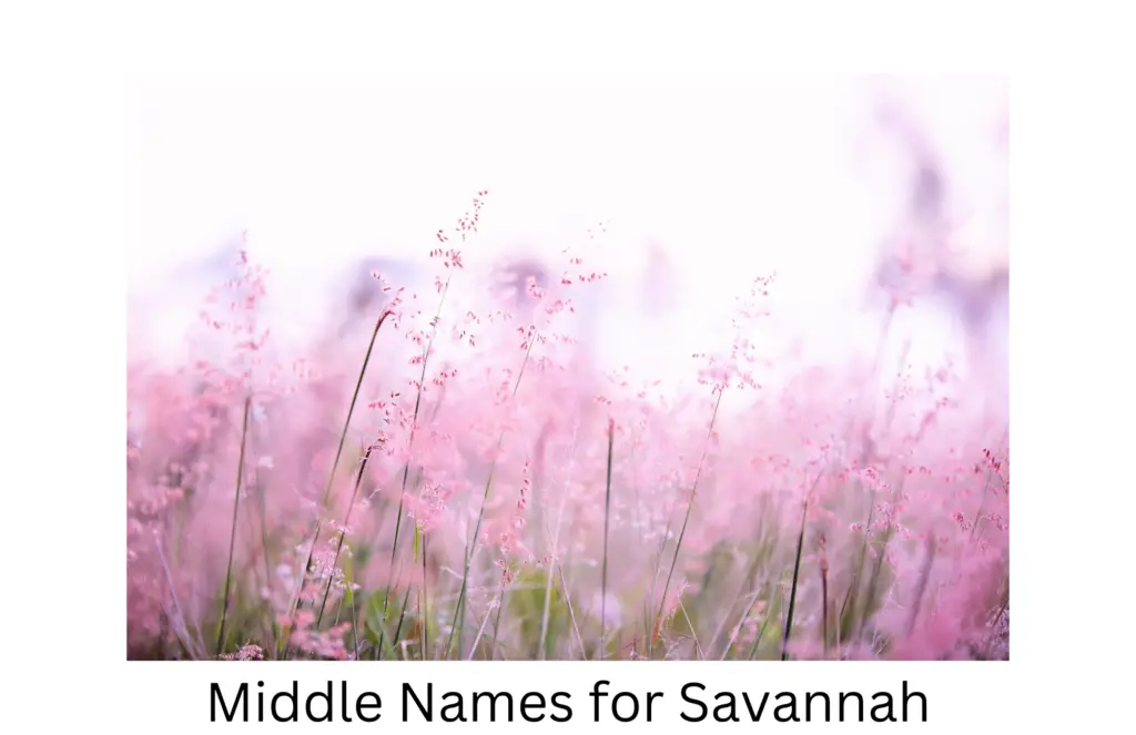 middle names for savannah